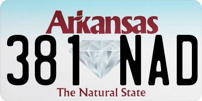 AR license plate 381NAD