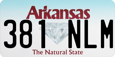 AR license plate 381NLM