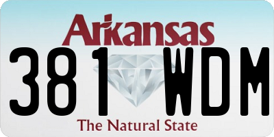 AR license plate 381WDM