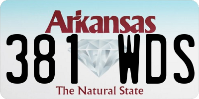 AR license plate 381WDS