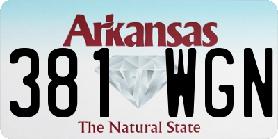 AR license plate 381WGN
