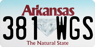AR license plate 381WGS