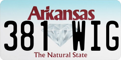 AR license plate 381WIG