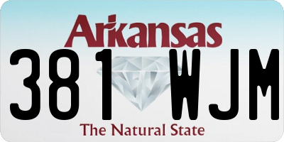 AR license plate 381WJM