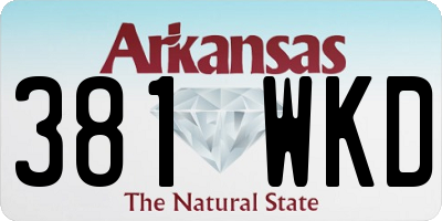 AR license plate 381WKD