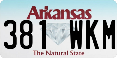 AR license plate 381WKM