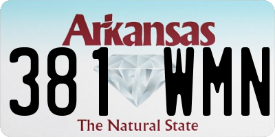 AR license plate 381WMN