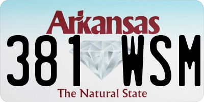 AR license plate 381WSM