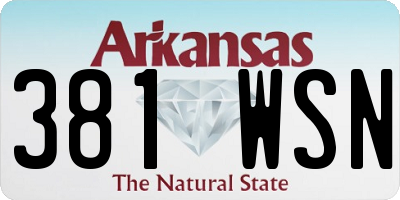 AR license plate 381WSN
