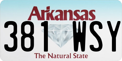AR license plate 381WSY