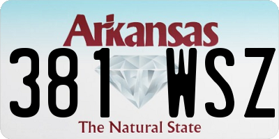 AR license plate 381WSZ