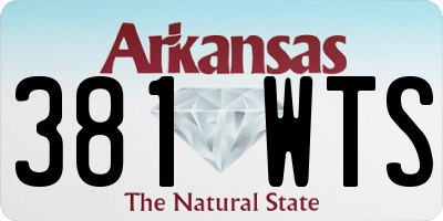 AR license plate 381WTS