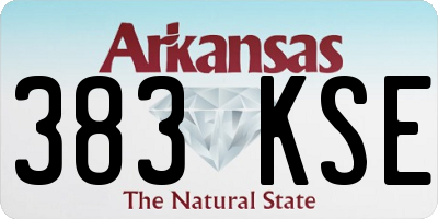 AR license plate 383KSE
