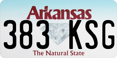 AR license plate 383KSG