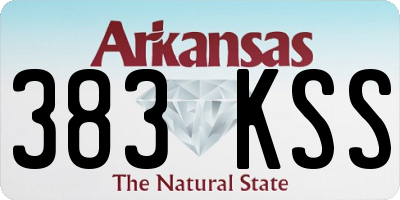 AR license plate 383KSS