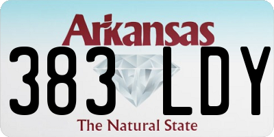 AR license plate 383LDY