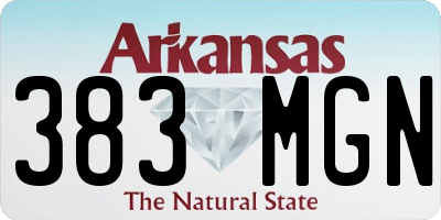 AR license plate 383MGN