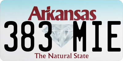 AR license plate 383MIE