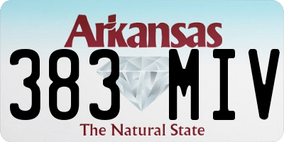 AR license plate 383MIV