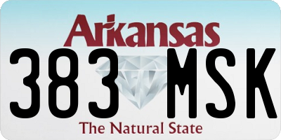 AR license plate 383MSK