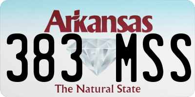 AR license plate 383MSS
