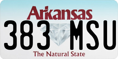 AR license plate 383MSU