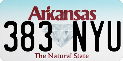 AR license plate 383NYU