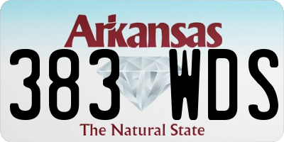 AR license plate 383WDS