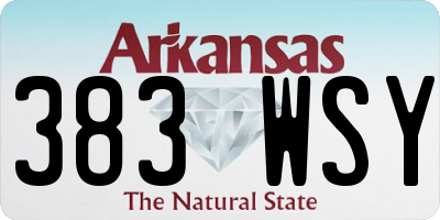 AR license plate 383WSY