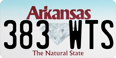 AR license plate 383WTS