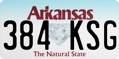 AR license plate 384KSG
