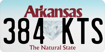 AR license plate 384KTS