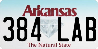 AR license plate 384LAB
