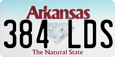 AR license plate 384LDS