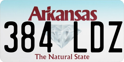 AR license plate 384LDZ