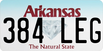 AR license plate 384LEG