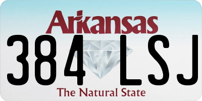 AR license plate 384LSJ