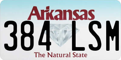 AR license plate 384LSM