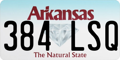 AR license plate 384LSQ