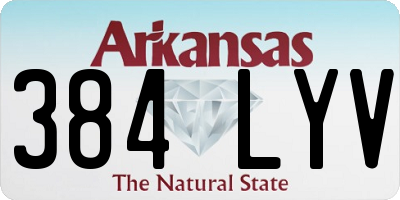 AR license plate 384LYV