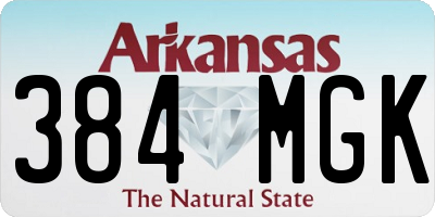 AR license plate 384MGK