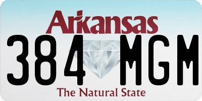 AR license plate 384MGM
