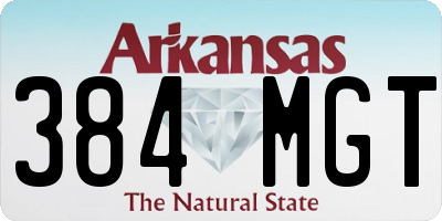 AR license plate 384MGT