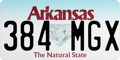 AR license plate 384MGX