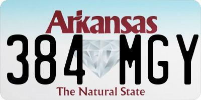 AR license plate 384MGY