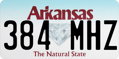 AR license plate 384MHZ