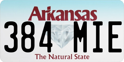 AR license plate 384MIE