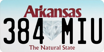 AR license plate 384MIU