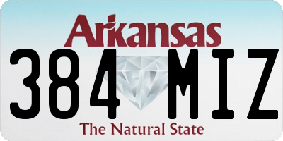 AR license plate 384MIZ