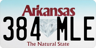AR license plate 384MLE